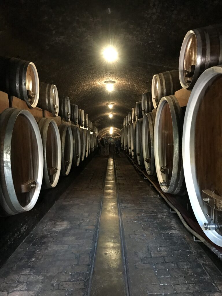 Iločki podrumi, poznata povijesna vinarija u istočnoj Hrvatskoj
