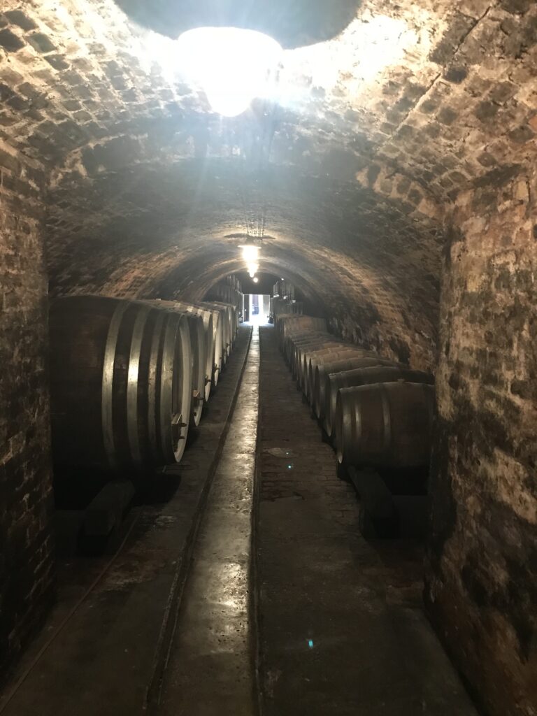 Iločki podrumi, poznata povijesna vinarija u istočnoj Hrvatskoj